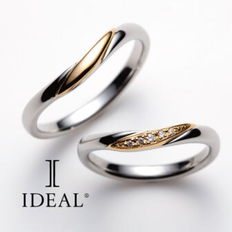 鍛造作りの結婚指輪IDEAL Plusfort