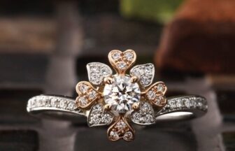 PAVEO CHOCOLAT（パヴェオショコラ）