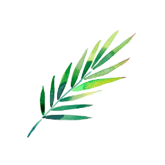 garden和歌山