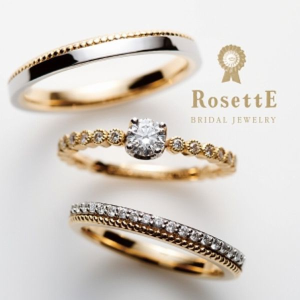 姫路セットリングRosettE