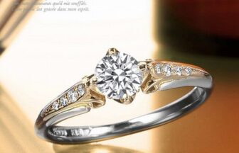 たつの婚約指輪