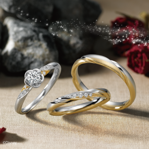 南大阪ディズニープリンセスシリーズ