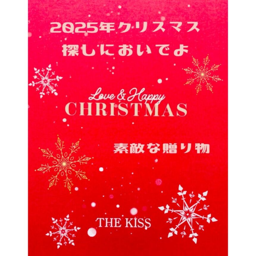 クリスマスプレゼント安いジュエリー