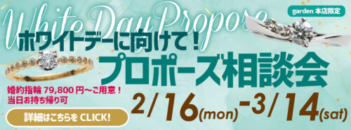 婚約指輪サプライズプロポーズプロポーズリングダイヤリング