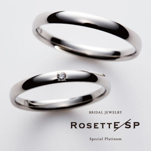 RosettESP　デザイン2