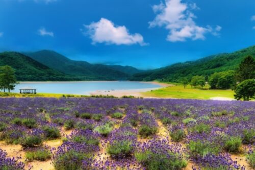 ⑩北海道